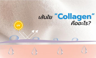 เส้นใย 'Collagen' คืออะไร?