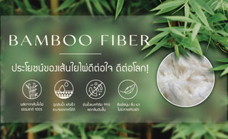 ประโยชน์ของเส้นใยไผ่ 'ดีต่อใจ ดีต่อโลก'